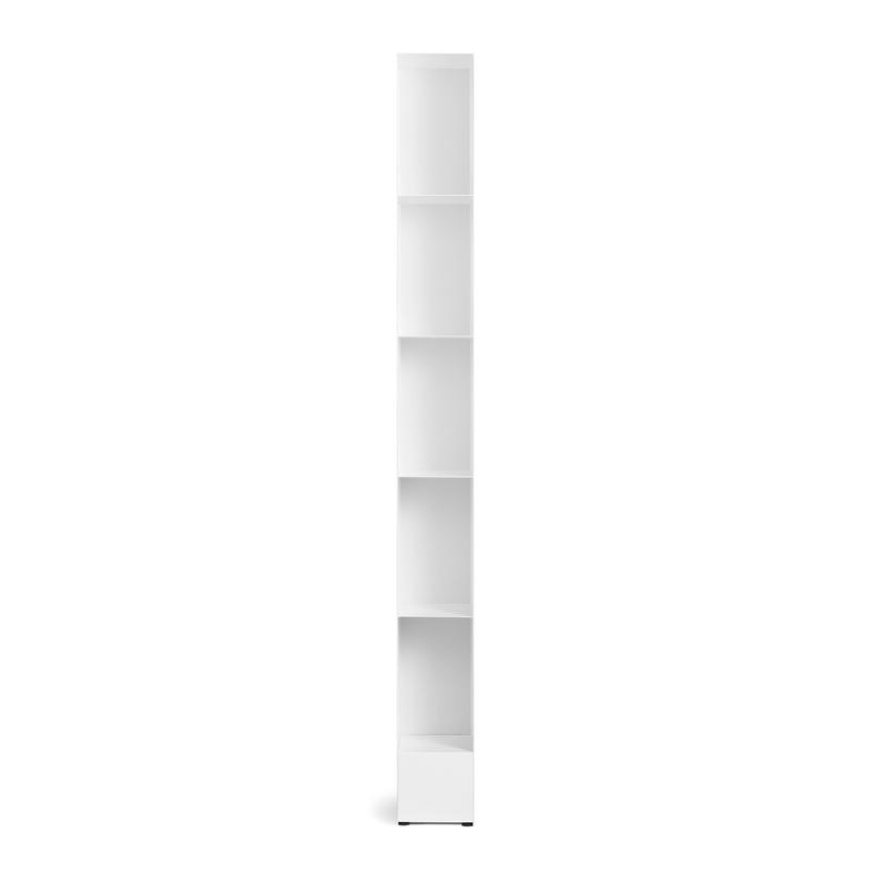 Untitled (shelf)